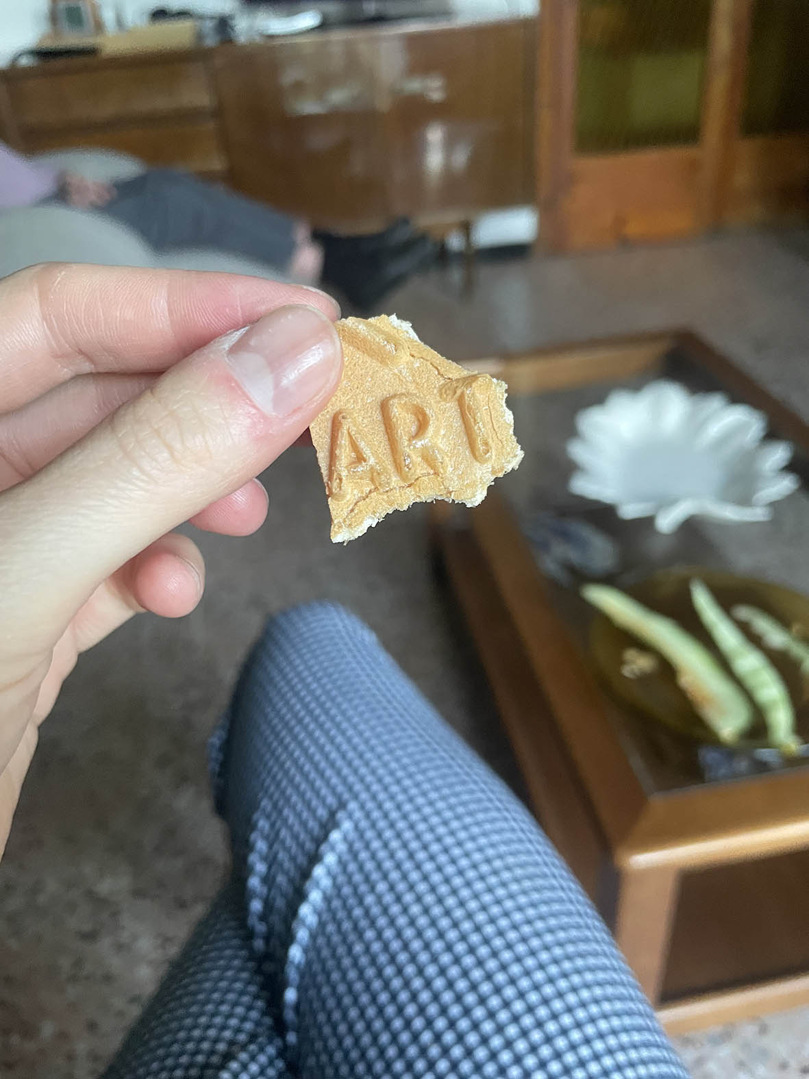 the artist begging for jobs